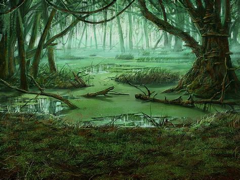Vivid accuse swamp